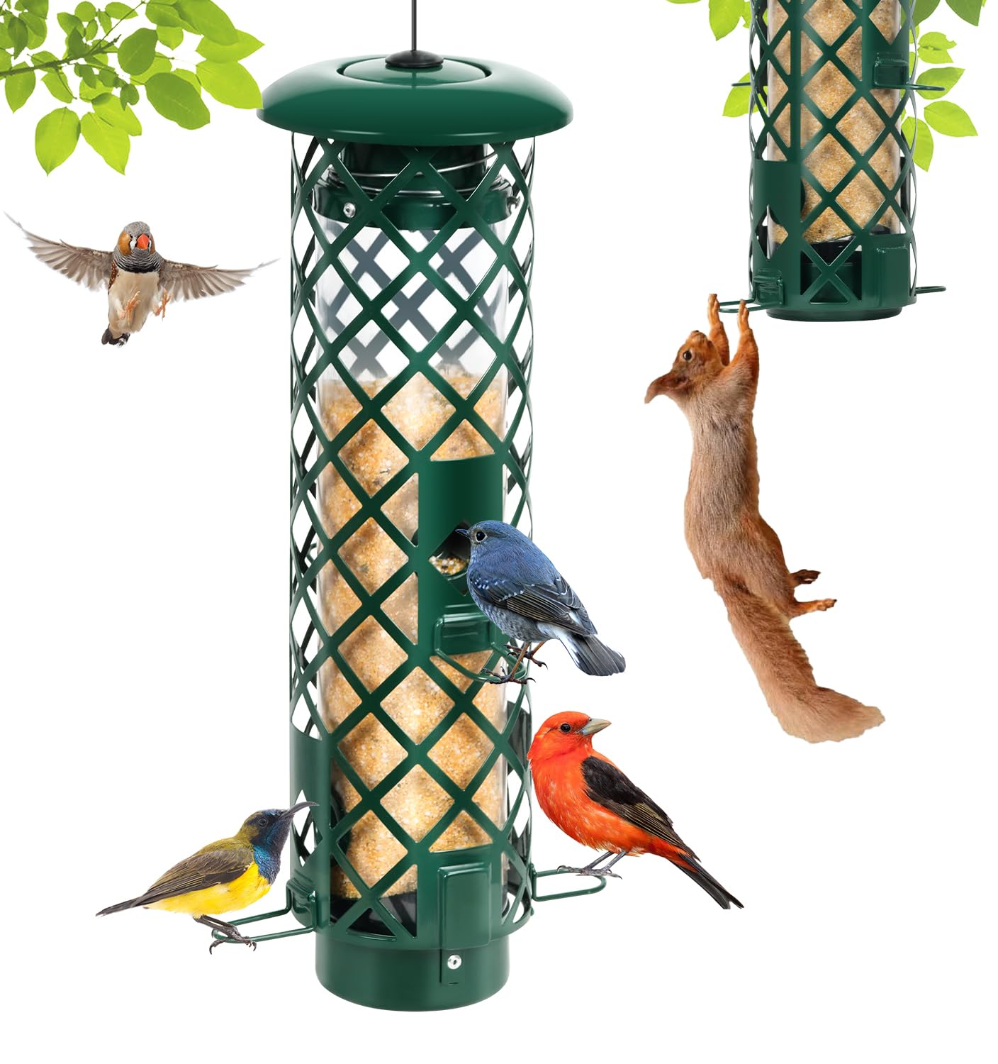 YUGYUM squirrel-proof feeder outdoors blocks squirrels while feeding cardinals.