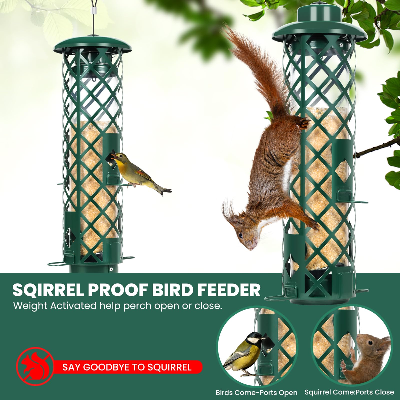 YUGYUM weight-activated-perches stop squirrels, keeping perches open for finches.