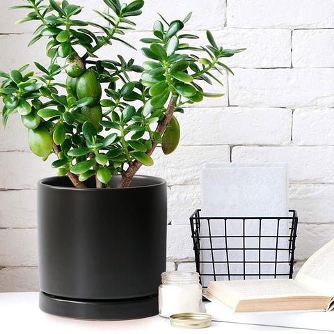Yukfona ceramic saucer 12inch ideal for large planters and tidy spaces
