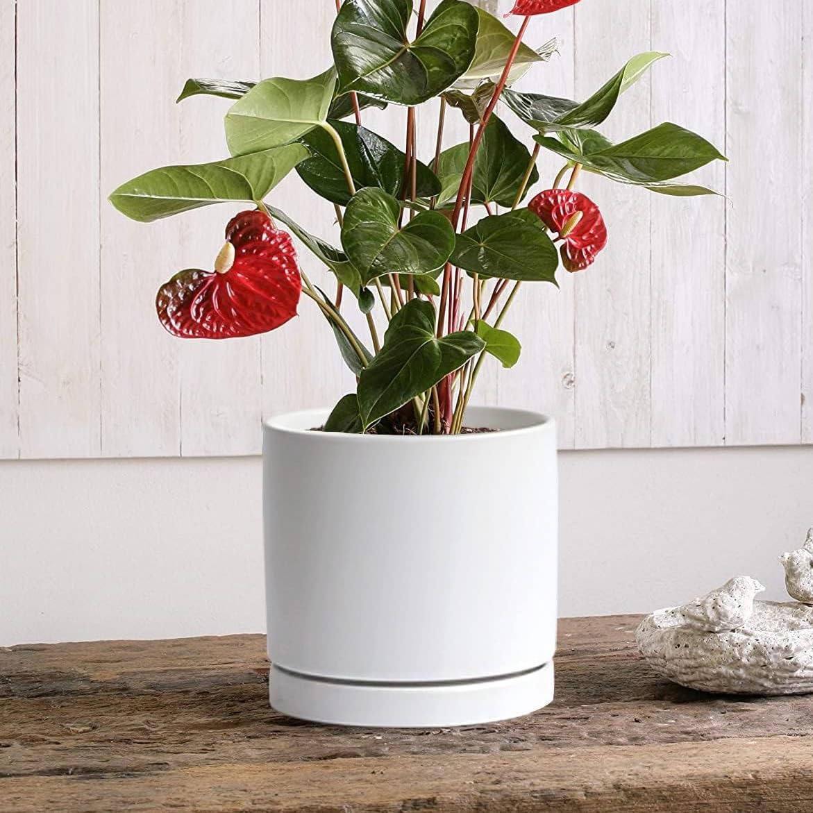 Yukfona 7 inch versatile bottom tray doubles as stand.