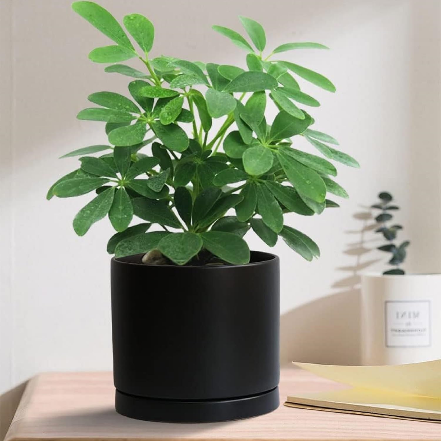 Yukfona ceramic saucer 8inch offers durable base for larger planters