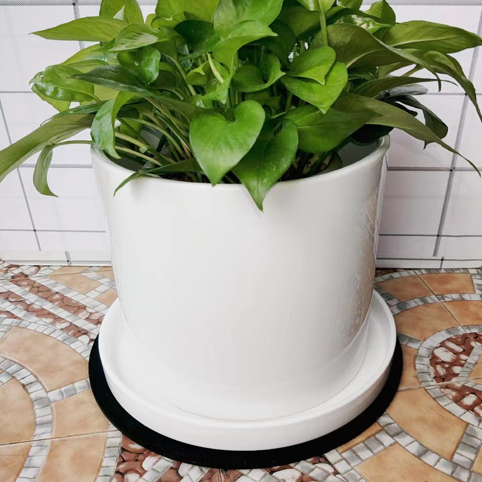 Yukfona display of multiple sizes with pots