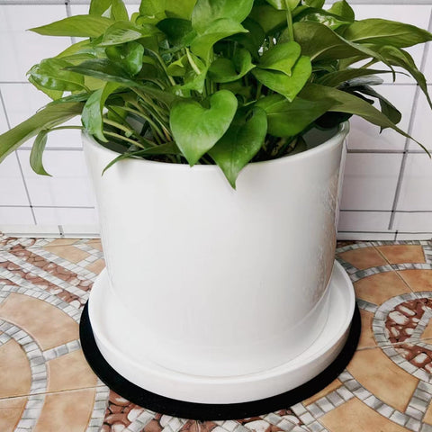 Yukfona saucer catches excess moisture while displaying plants beautifully.