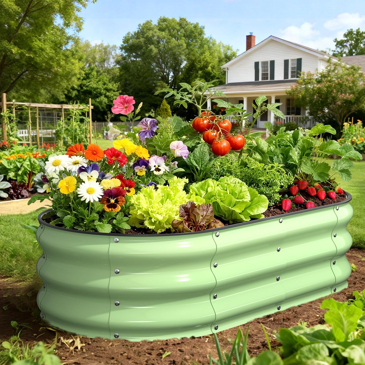 Yumatum raised bed ready for vegetables demonstrates organized planting and easy watering.