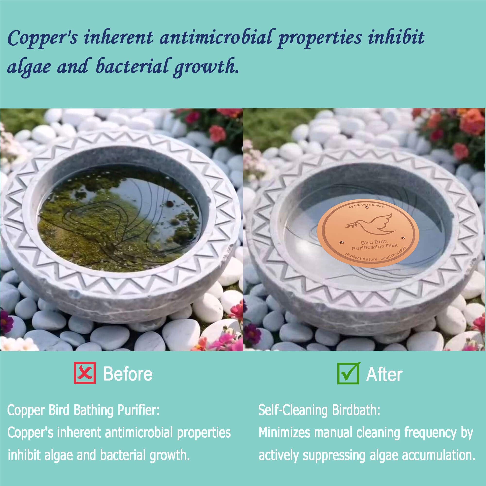 Universal-fit design on a standard outdoor birdbath by YUMEWARM
