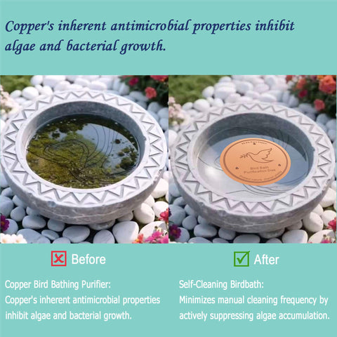 Universal-fit design on a standard outdoor birdbath by YUMEWARM