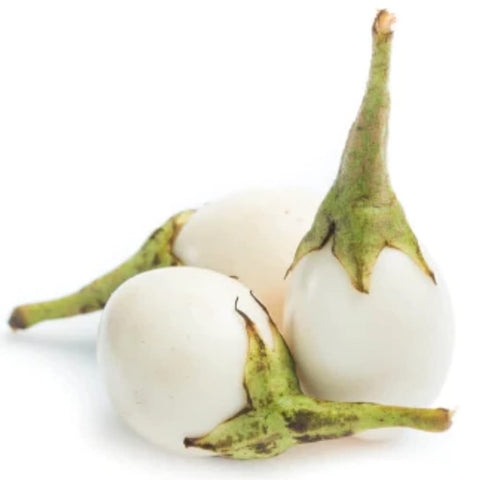 Yunaksea harvested African eggplants ideal for seasonal cooking and sharing