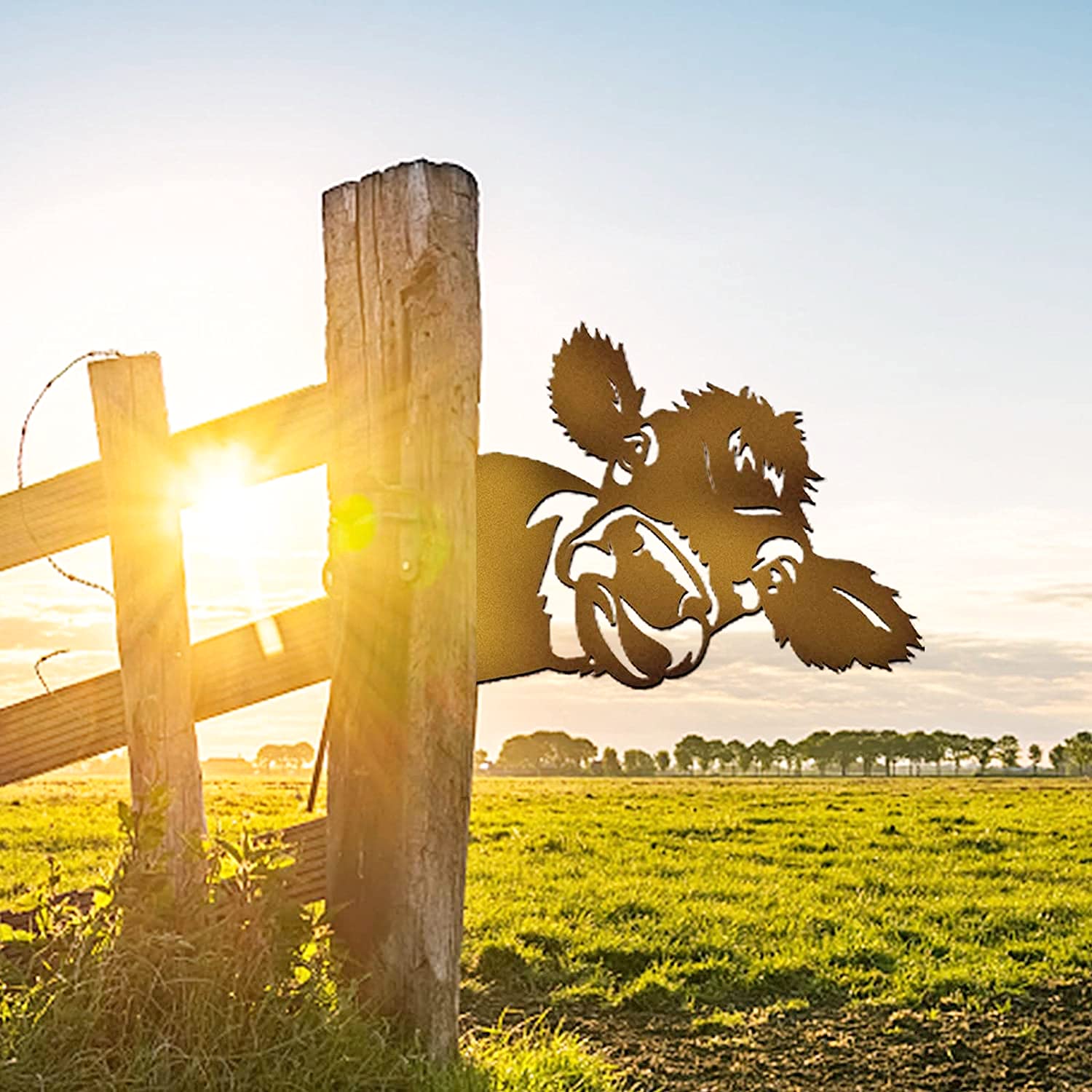 Ideal for farmhouse yards, patios, and gardens.