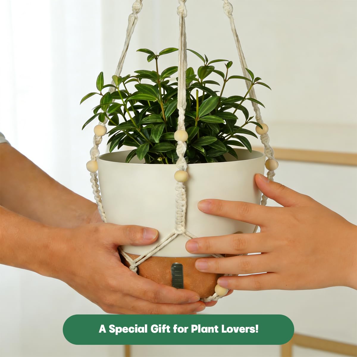 YUNLINGAA two S-hooks included for easy indoor installation.