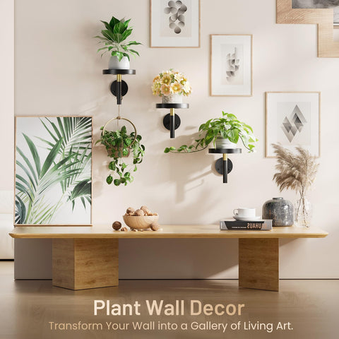 Compact Yuoros wall-mounted plant holder ideal for small spaces.