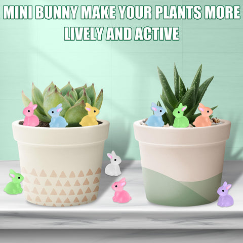 Yuronam seven-color luminous bunnies add color by night.