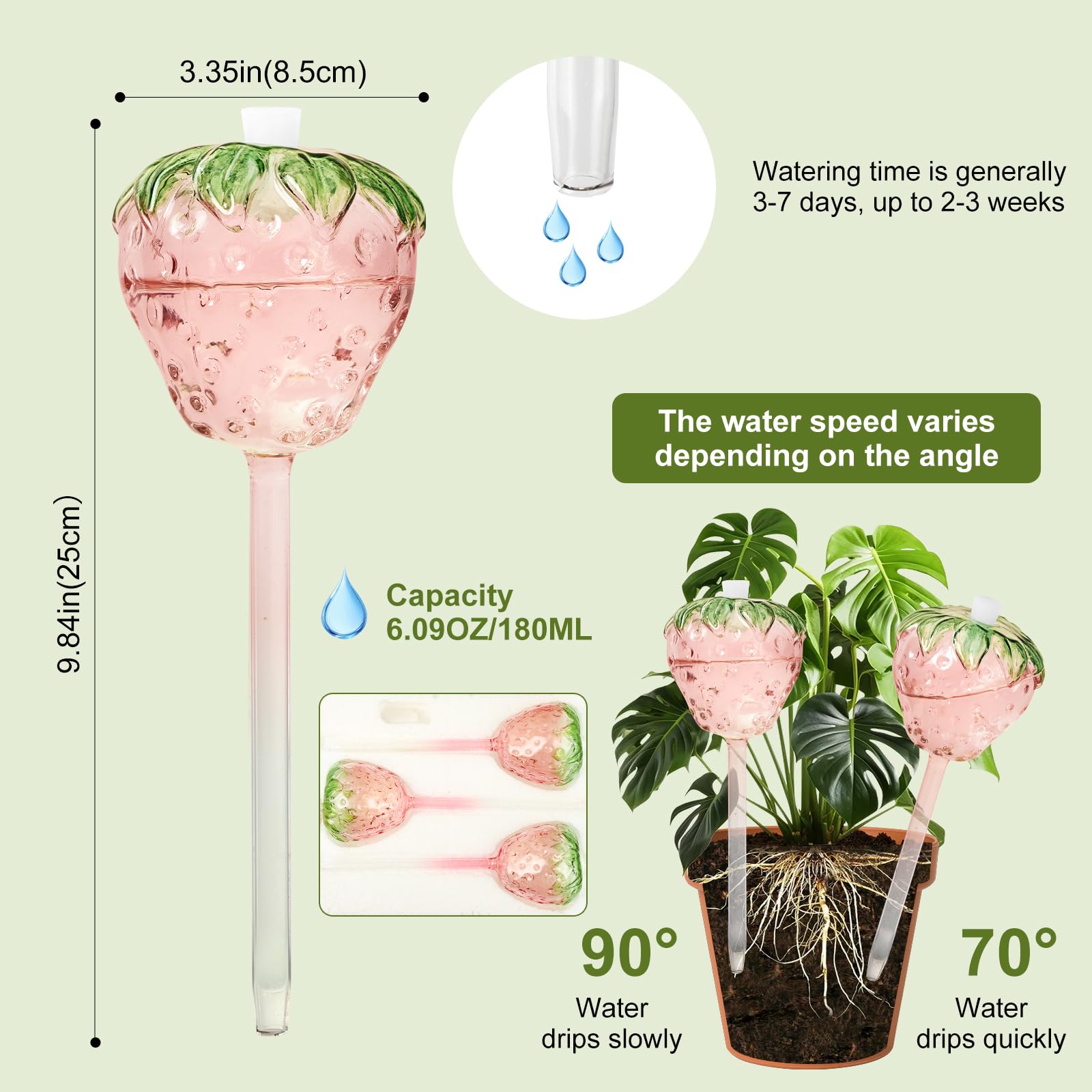 Yurucenus 180ml-capacity globes offering 3–7 days of autonomous plant care