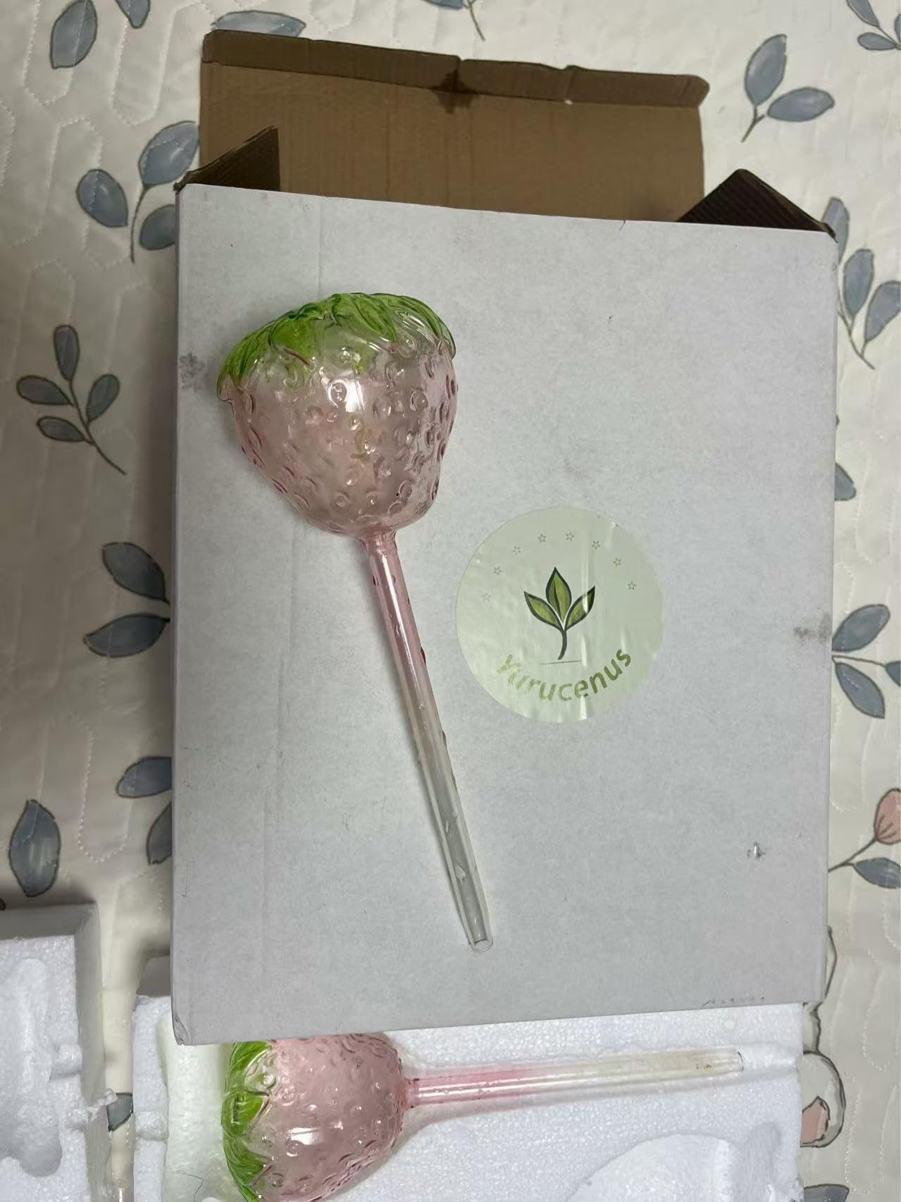 Yurucenus strawberry globes gift-ready for plant lovers