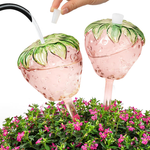 Yurucenus strawberry glass watering globe front view, self-watering for indoor plants
