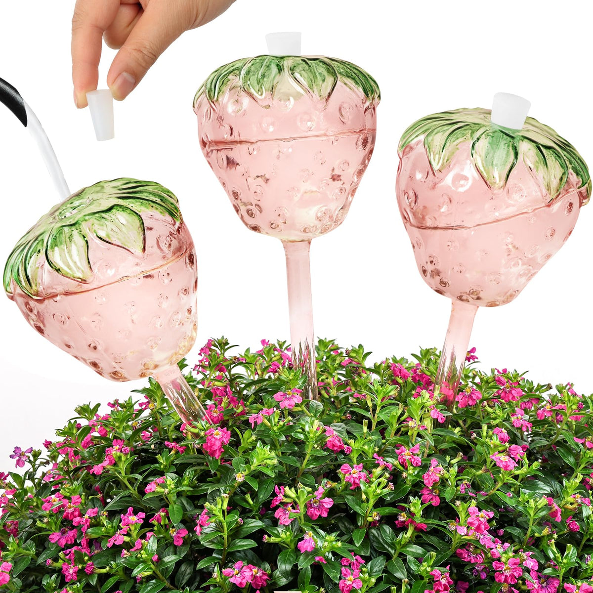 Yurucenus strawberry watering globes in a 3-pack, decorative and practical for indoor plants