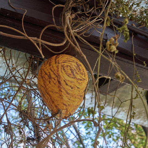 Yuvrwink garden wasp nest deco mounted on a branch for deterrence