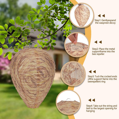 Yuvrwink wasp nest hanging under the eaves to protect outdoor dining
