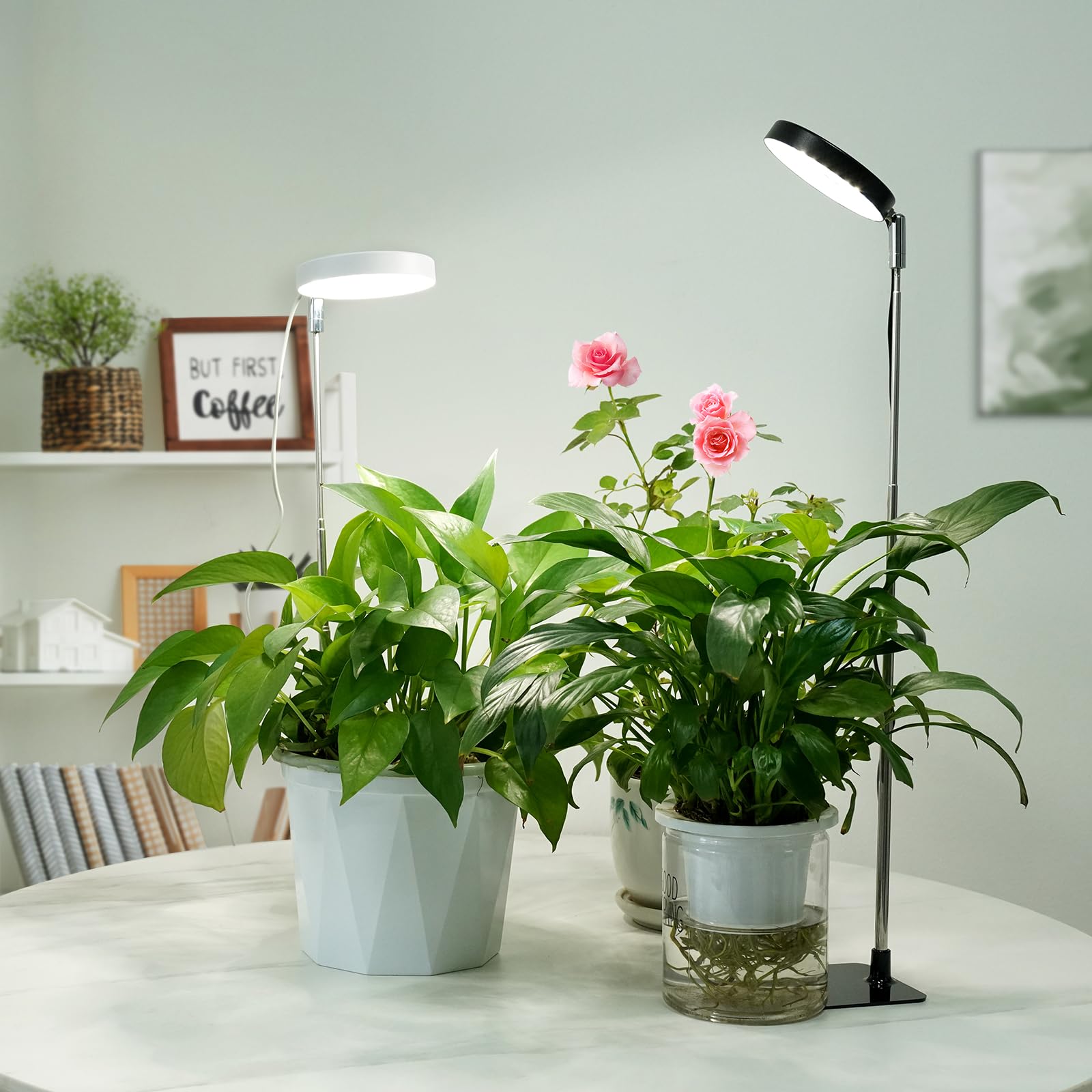 YUYMIKA Grow Light height adjusts from 7 to 26 inches