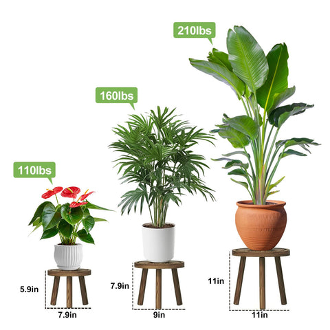YUZUKYAUY indoor outdoor plant stand at 11h-11d ready for display