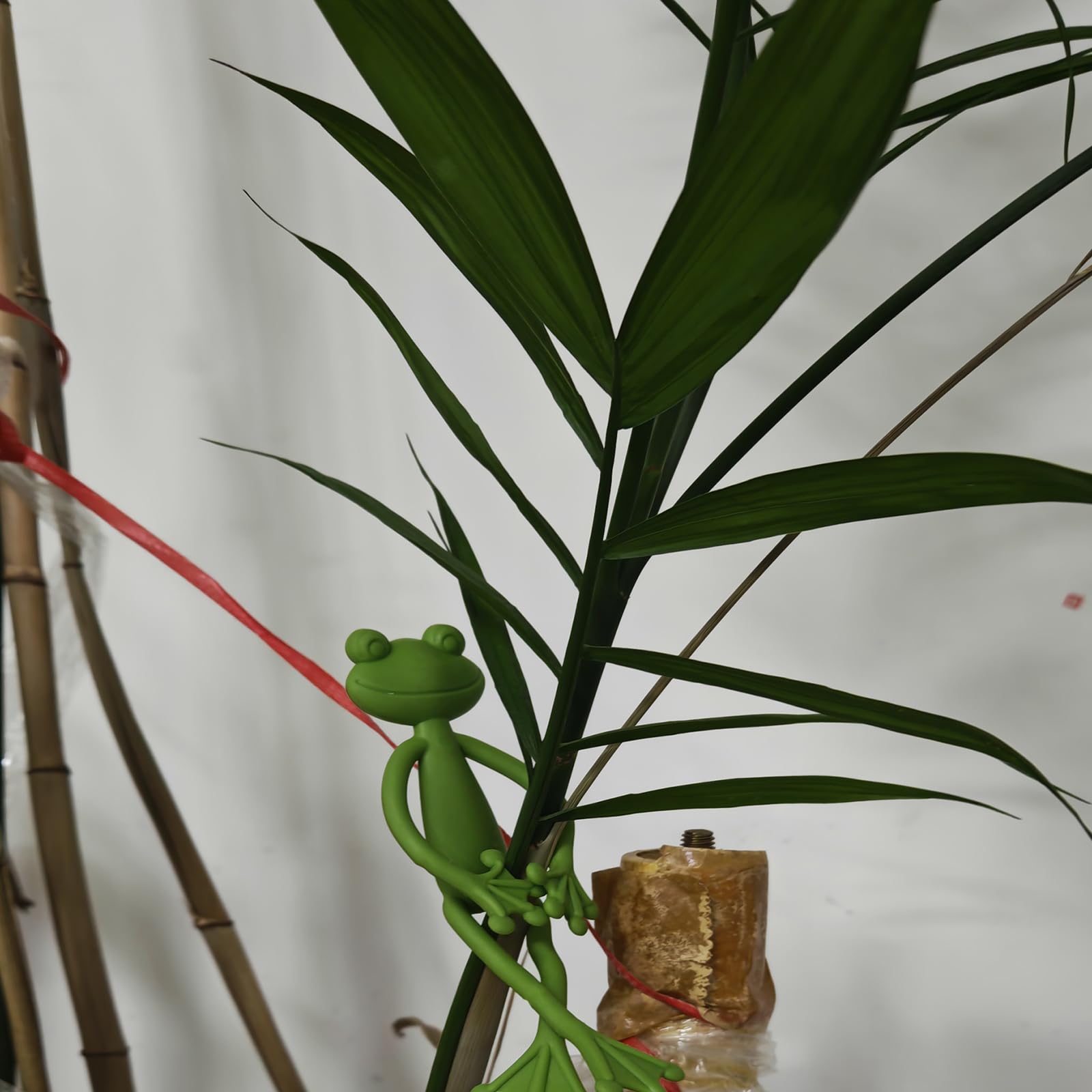 YVPSI frog plant stand clip gift-ready packaging for plant lovers