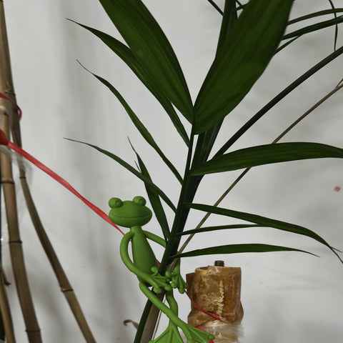 YVPSI frog plant stand clip gift-ready packaging for plant lovers