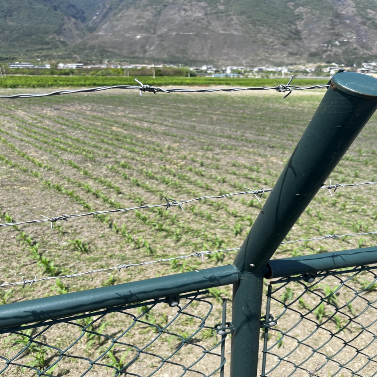 Craft projects utilize YXJSTO Barbed Wire for sturdy structures.