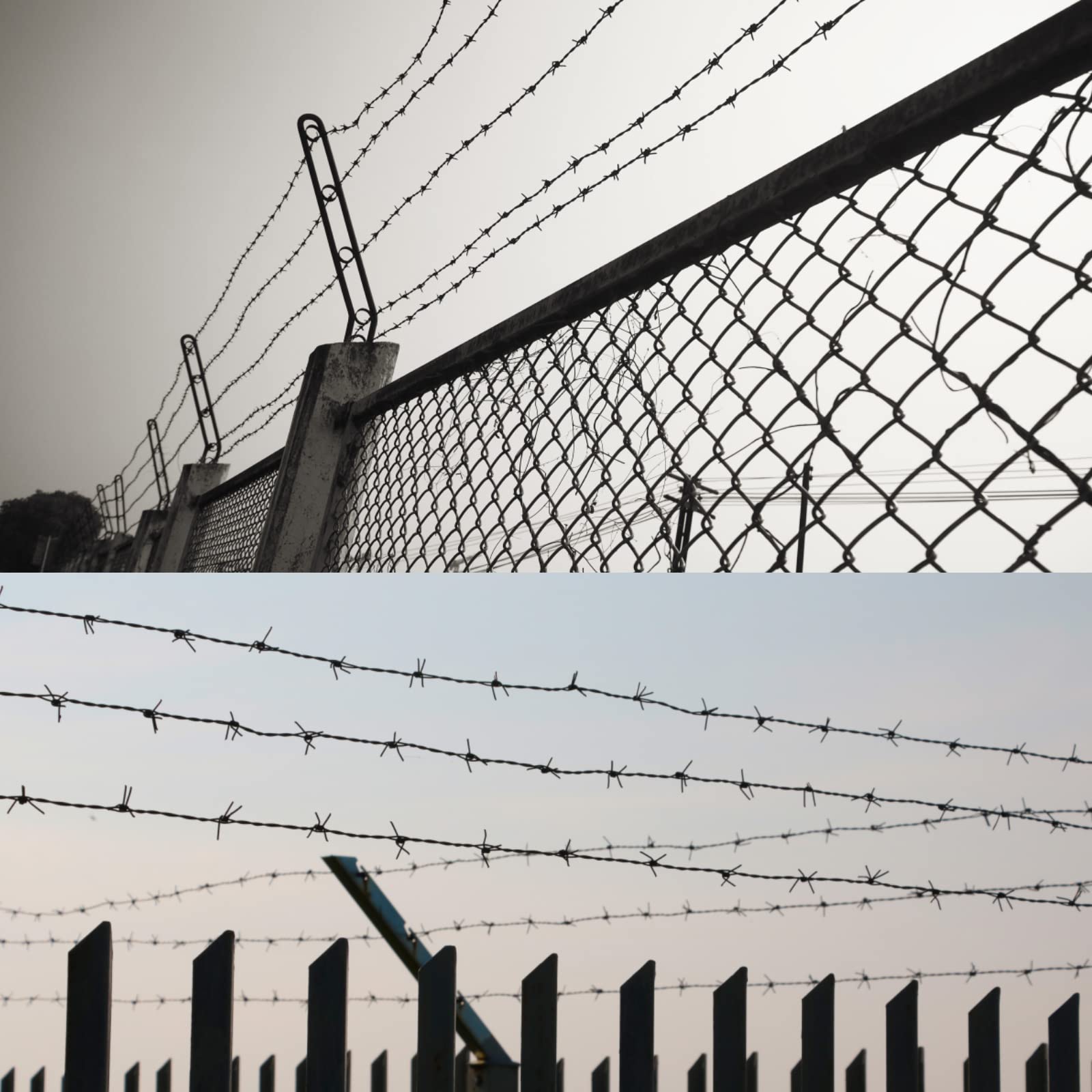 Garden boundary defined with YXJSTO Barbed Wire.