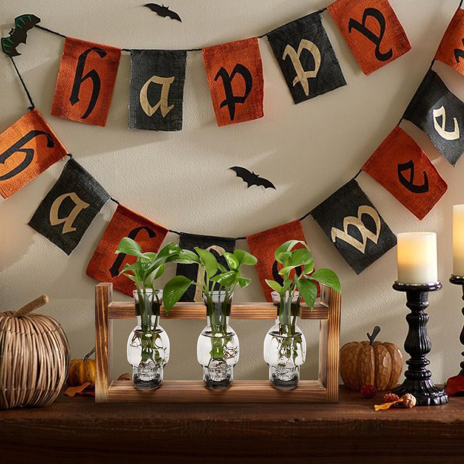 YYHglass Halloween decor skull planter adds a quirky focal point to bars or man caves