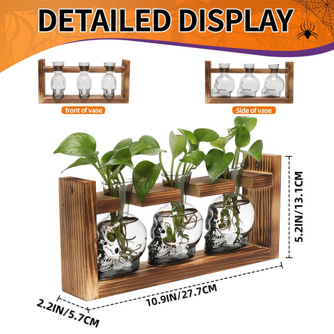 YYHglass hydroponics plant station skull planter ideal for compact gardens