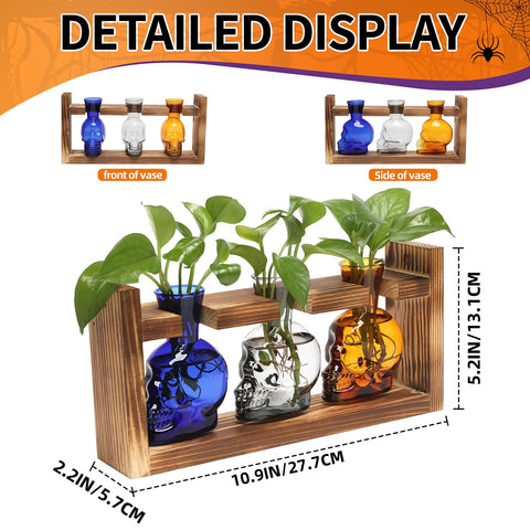 YYHglass propagation stations with wooden stand create chic home decor.