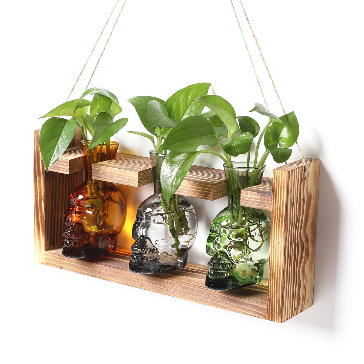 YYHglass skull propagation vase in colored glass, ideal for stylish plant displays.