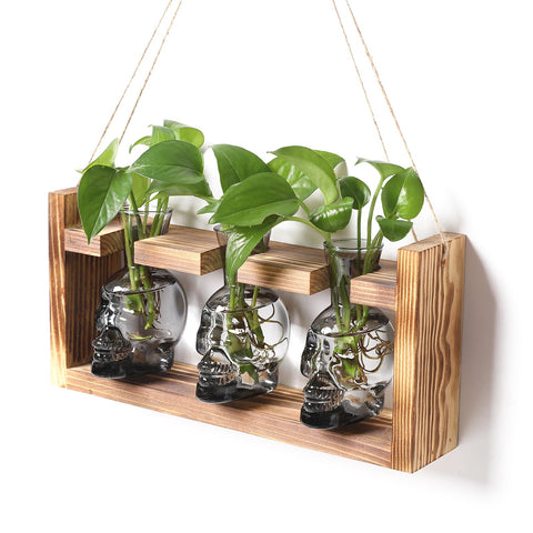 YYHglass skull propagation vase with wooden stand for stylish plant displays