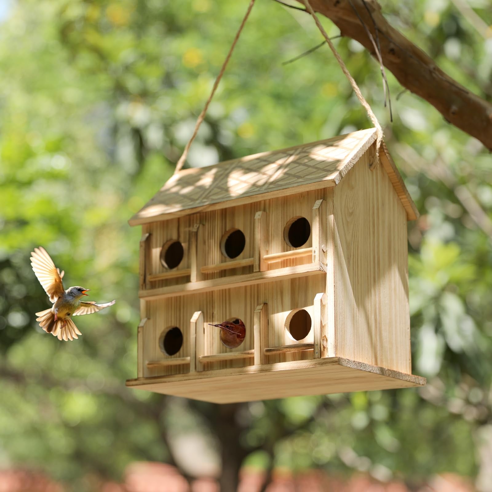 YYYUAN 1.37-inch entrance welcomes small birds while keeping nesting space comfortable.
