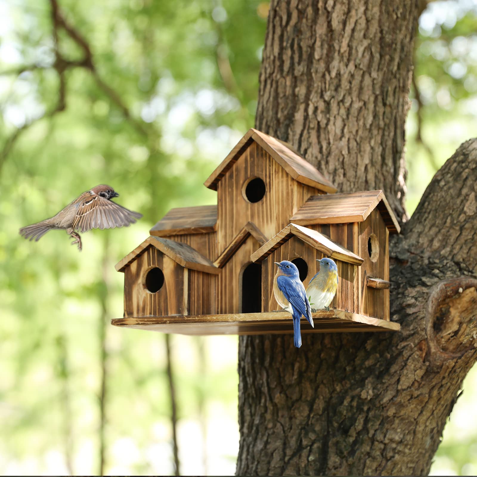 YYYUAN six-room design offers roomy nesting and roosting space.