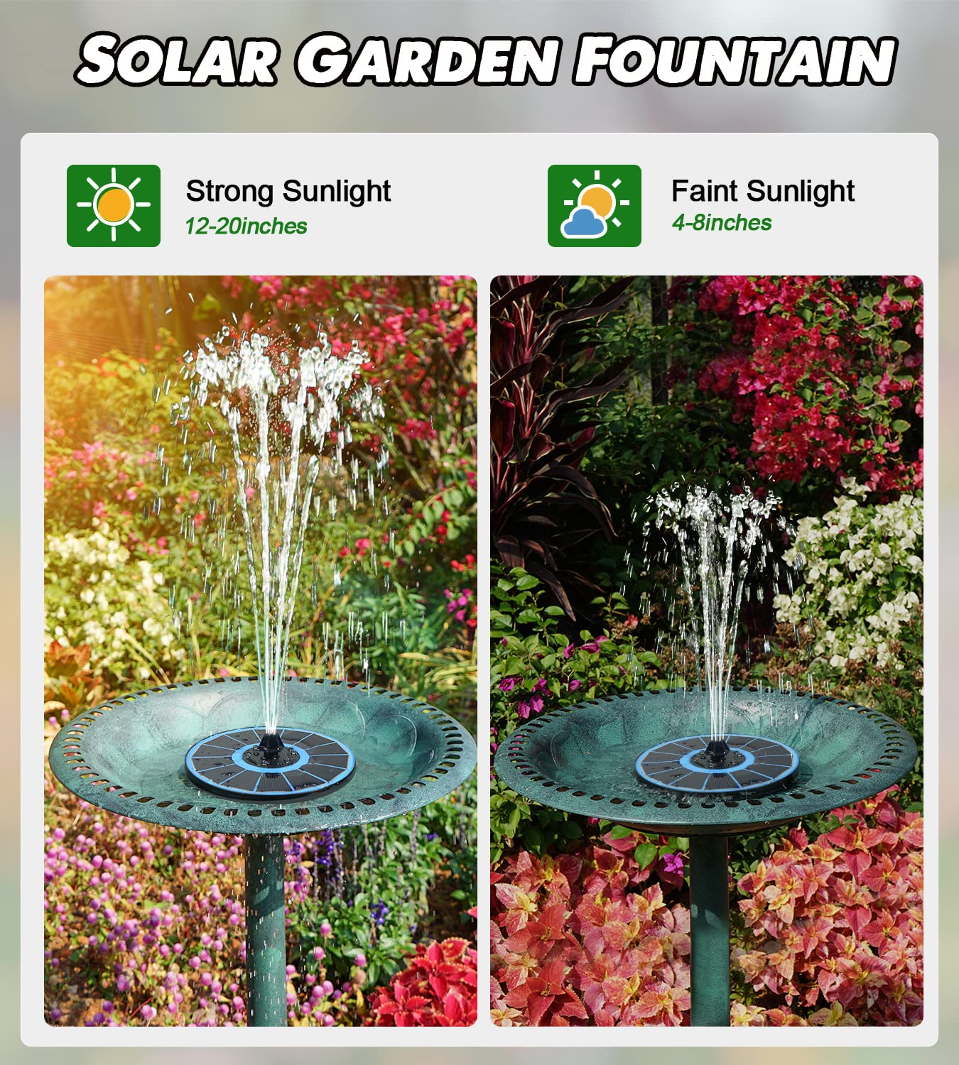 Yzert colorful LED lights illuminate nighttime water display.