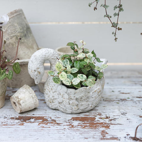 z2-belladecor swan planter makes a thoughtful gift for home and garden
