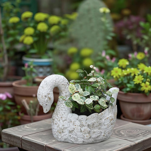 z2-belladecor swan planter indoors displays greenery with quiet sophistication