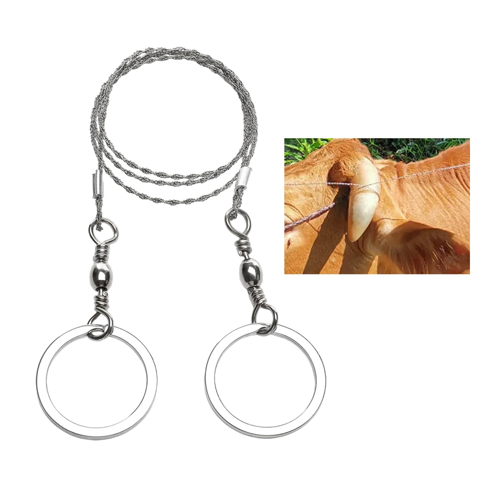 Zaagot stainless steel wire saw with handle for safer livestock care.