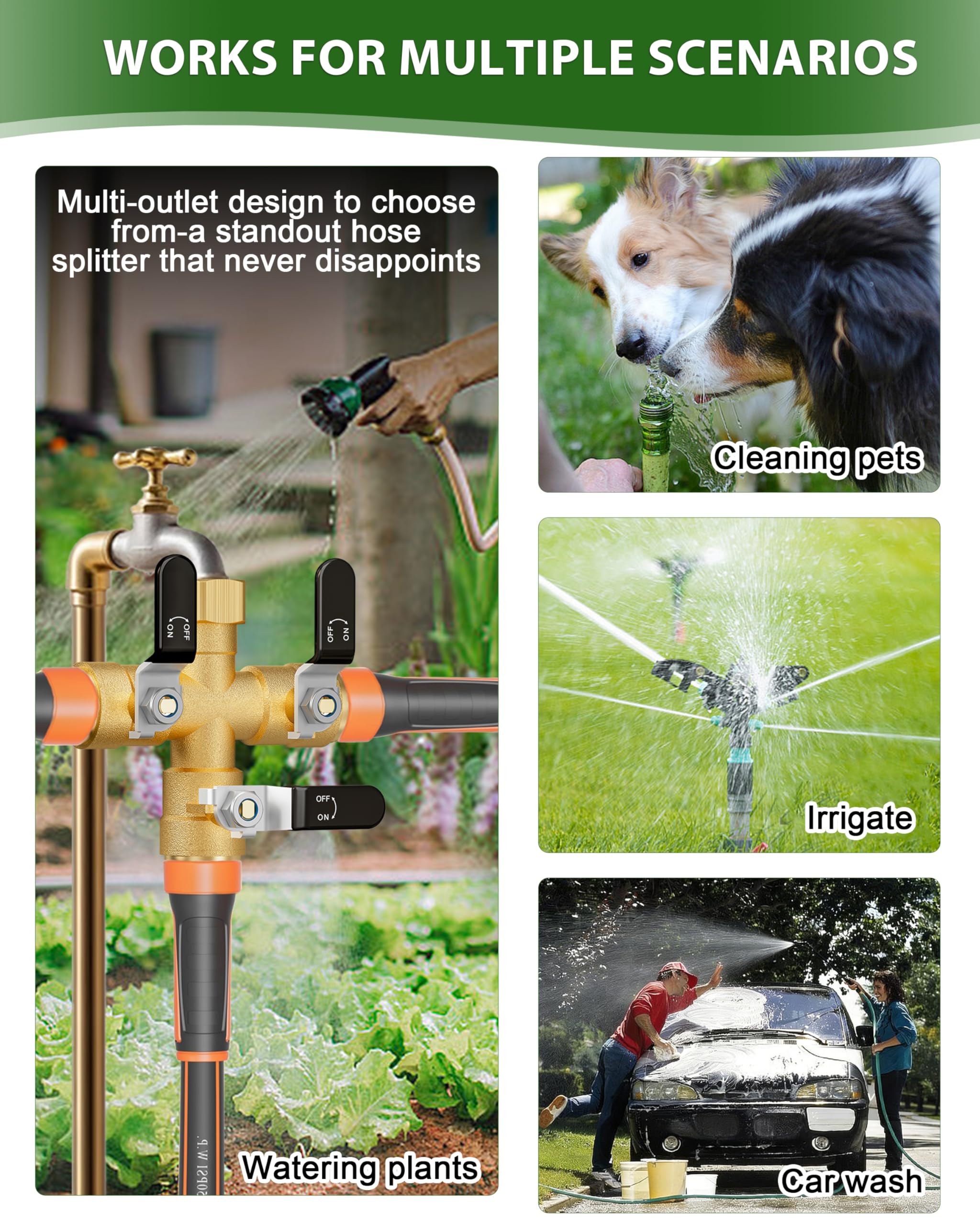 ZaakWang watering setup illustrating three-way distribution for tasks