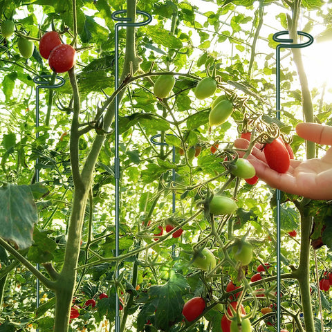 Zacool easy ring design allows gentle insertion without harming plants.