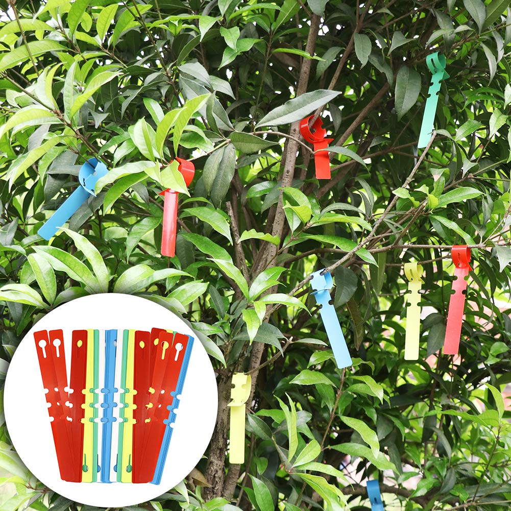 ZALALOVA color label cards help record plant names