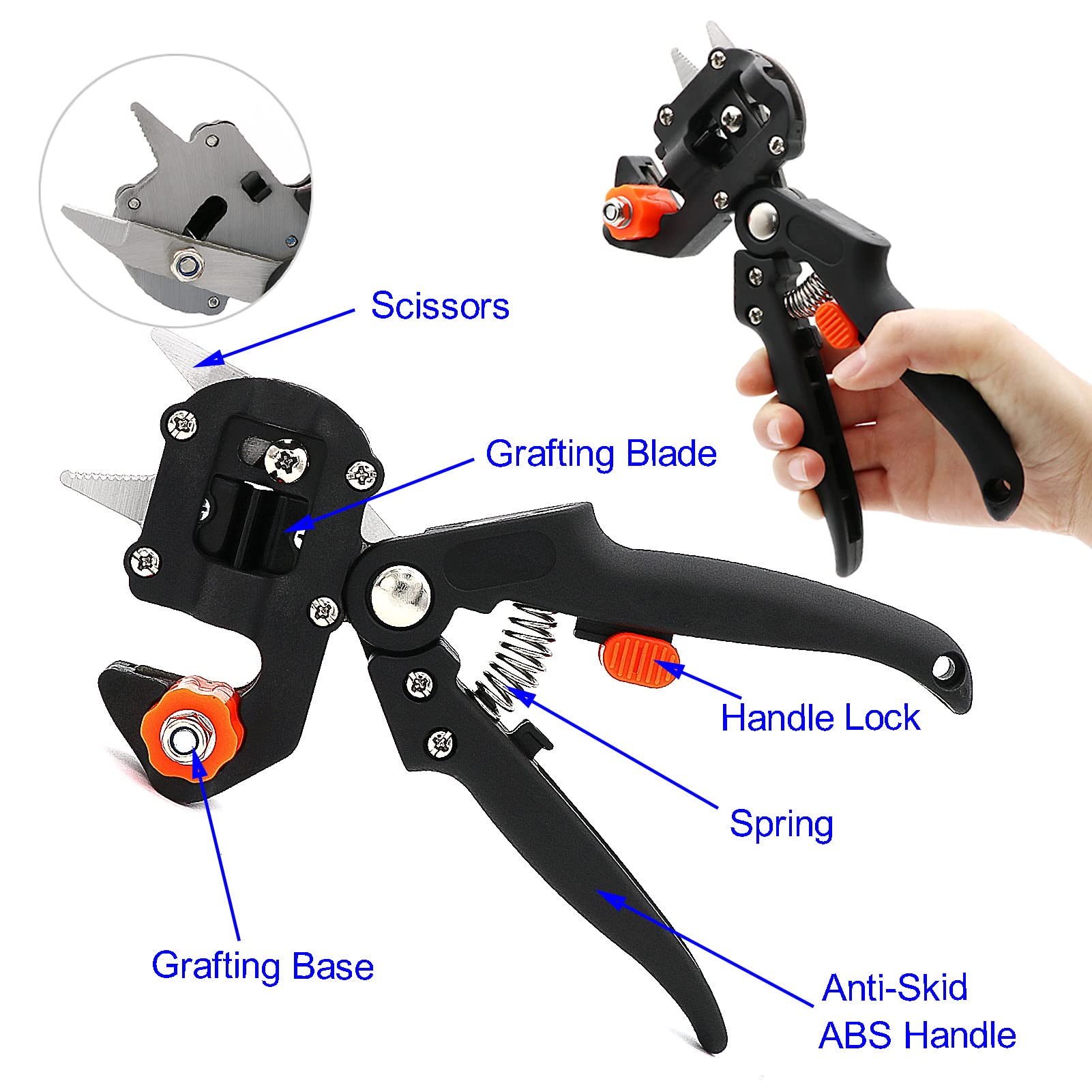 Zalalova curved and straight grafting knife designed for clean scion and stock cuts.