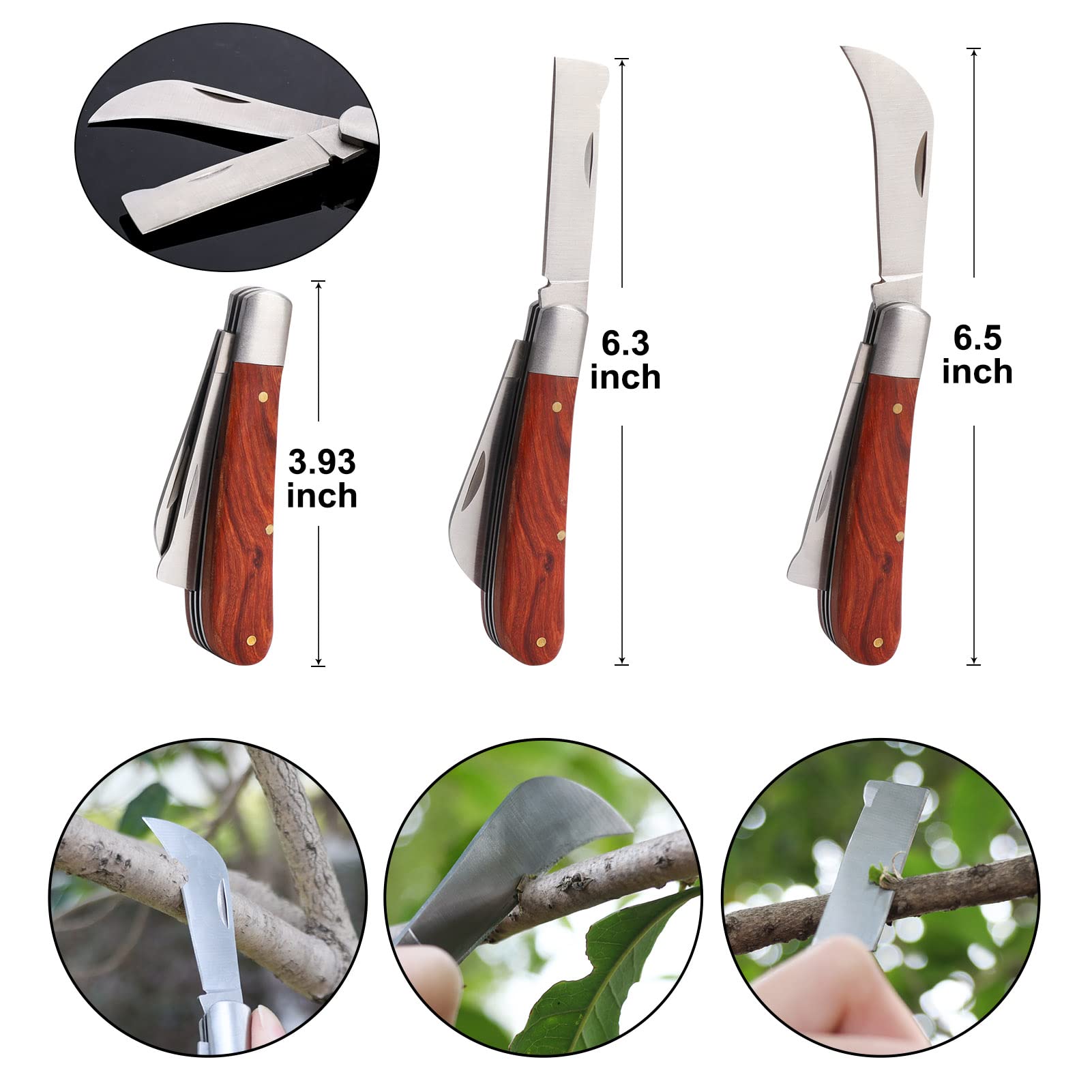 ZALALOVA grafting films in two colors protect wounds from air