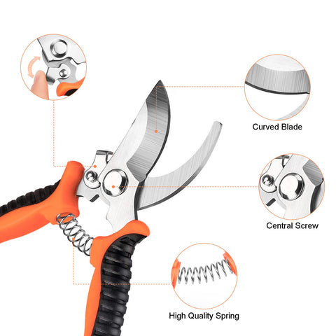 Zalalova grafting tapes provide air-tight wraps for healthy graft unions.