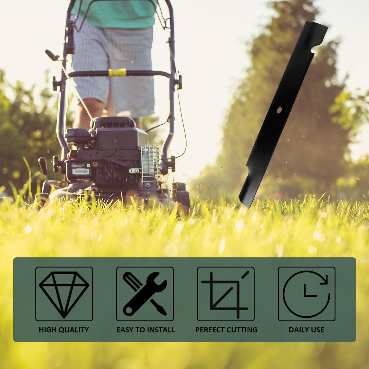 ZALANA blade edge close-up demonstrates premium steel for long-lasting sharpness.