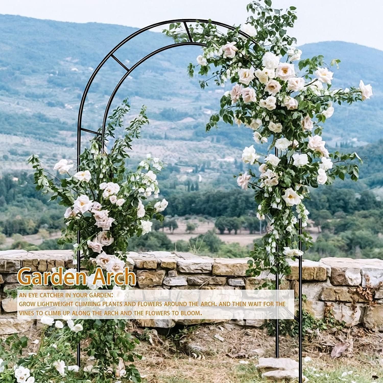ZANGEROI black metal garden arbor provides sturdy, stylish support for blooms