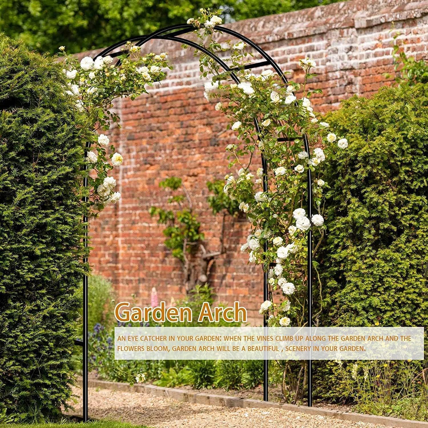 ZANGEROI arch works indoors or outdoors, ideal for parties and photo backdrops