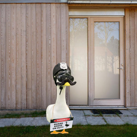 ZANOLY porch decor setup ready-to-use accessories for lawn geese.