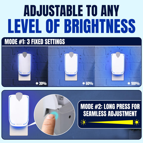 Zaperly blue UV light trap attracting gnats and flies.