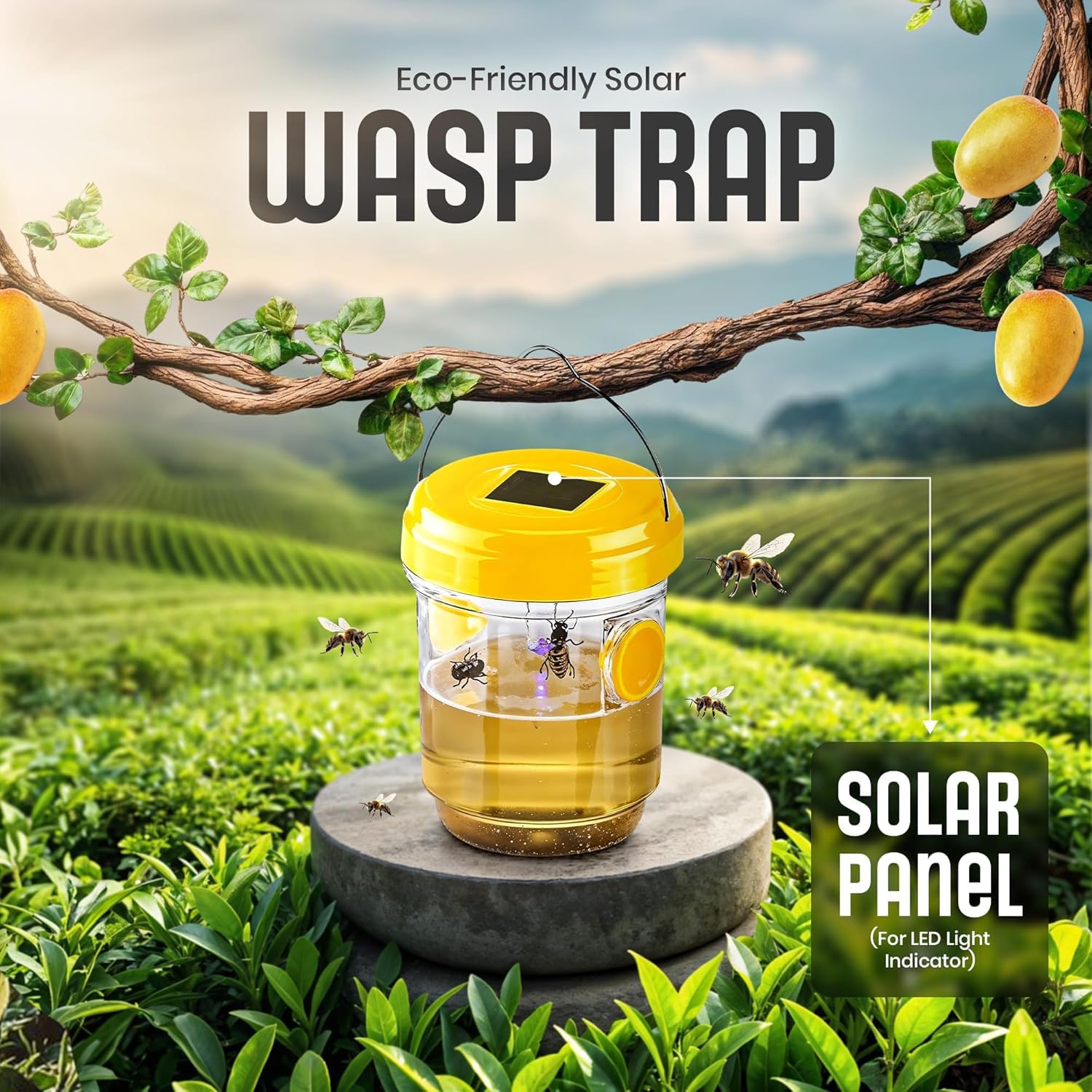 Zapnest reusable trap offers eco-friendly pest control with simple refills.